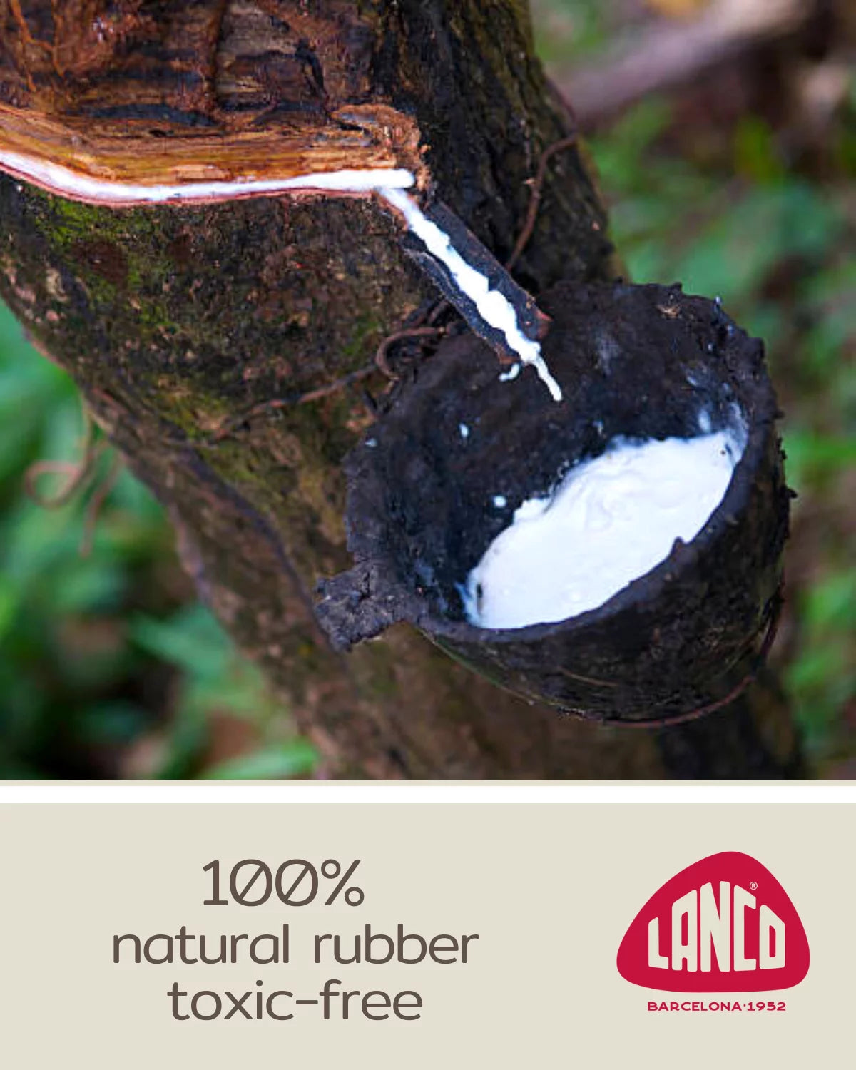 Gator Sensory Squeaky Dog Toy/Puppy Toy Natural Rubber (Latex) Lead-Free